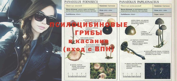 гашиш Арсеньев