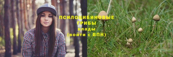 гашиш Арсеньев